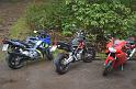 Schwarzwald 2013 - 041